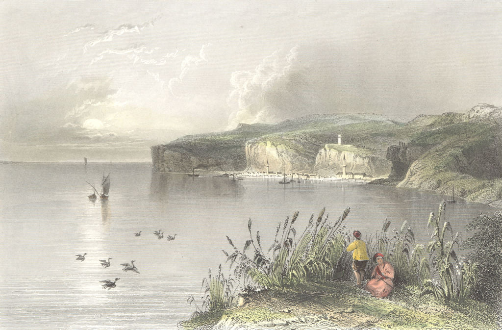 BULGARIA. Nikopol. Bartlett river boats Cliffs 1842 old antique print picture